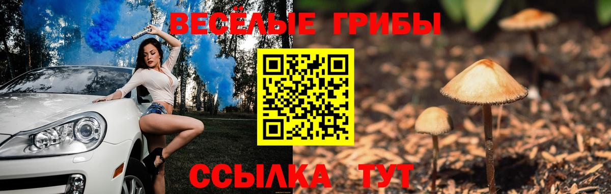 Псилоцибиновые грибы мицелий  Вход с VPN  купить наркотики цена  Ульяновск  Псилоцибиновые грибы Cubensis 